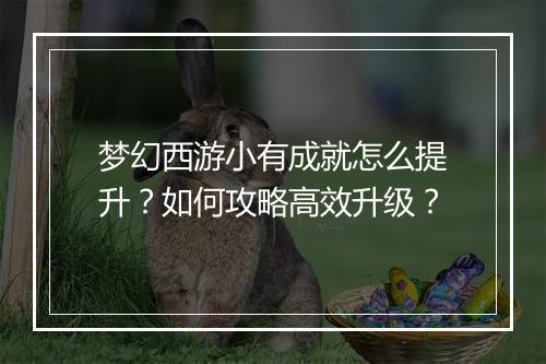 梦幻西游小有成就怎么提升？如何攻略高效升级？