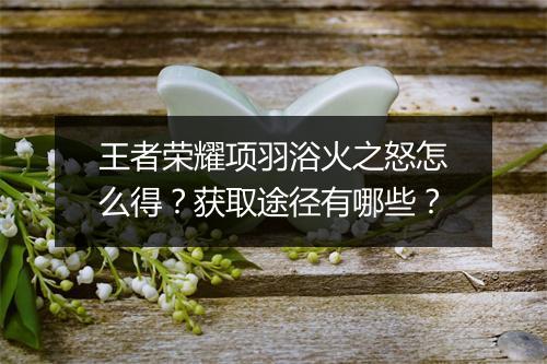 王者荣耀项羽浴火之怒怎么得？获取途径有哪些？