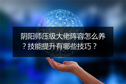 阴阳师压级大佬阵容怎么养？技能提升有哪些技巧？
