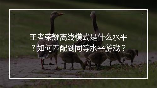 王者荣耀离线模式是什么水平？如何匹配到同等水平游戏？