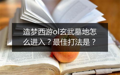 造梦西游ol玄武墓地怎么进入？最佳打法是？