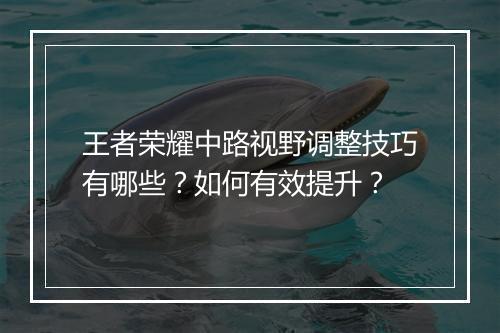 王者荣耀中路视野调整技巧有哪些？如何有效提升？