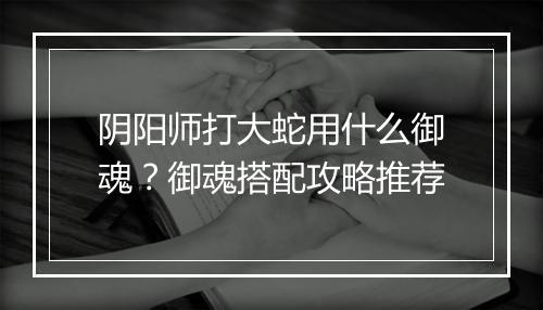 阴阳师打大蛇用什么御魂？御魂搭配攻略推荐