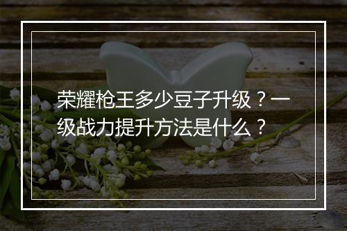 荣耀枪王多少豆子升级？一级战力提升方法是什么？