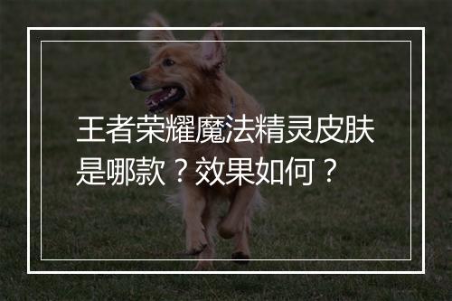 王者荣耀魔法精灵皮肤是哪款？效果如何？