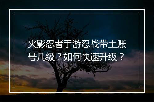 火影忍者手游忍战带土账号几级？如何快速升级？