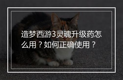 造梦西游3灵魂升级药怎么用？如何正确使用？