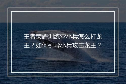 王者荣耀训练营小兵怎么打龙王？如何引导小兵攻击龙王？