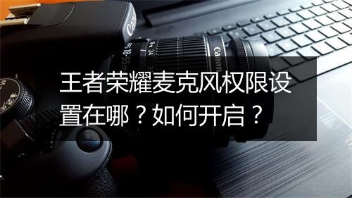 王者荣耀麦克风权限设置在哪？如何开启？