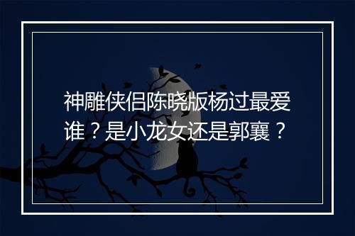 神雕侠侣陈晓版杨过最爱谁？是小龙女还是郭襄？