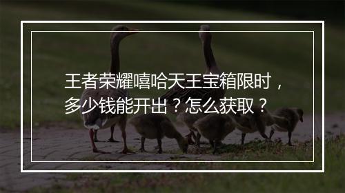 王者荣耀嘻哈天王宝箱限时，多少钱能开出？怎么获取？