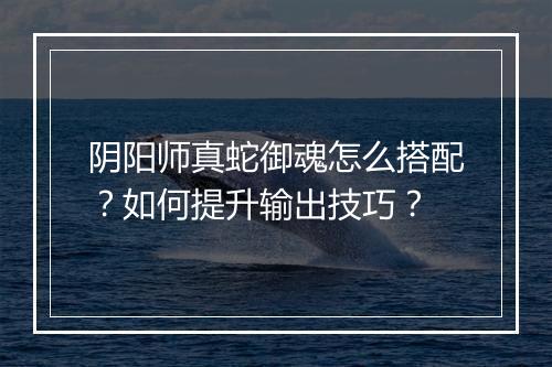 阴阳师真蛇御魂怎么搭配？如何提升输出技巧？