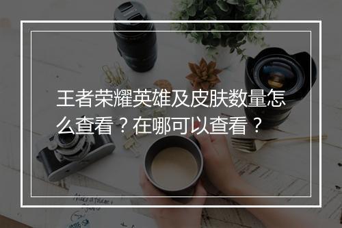 王者荣耀英雄及皮肤数量怎么查看？在哪可以查看？