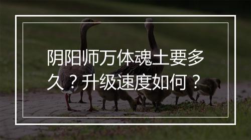 阴阳师万体魂土要多久？升级速度如何？