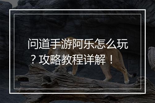 问道手游阿乐怎么玩？攻略教程详解！