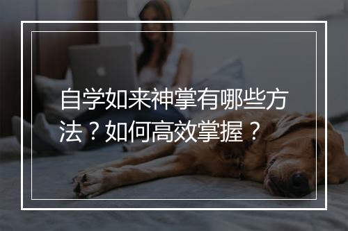 自学如来神掌有哪些方法？如何高效掌握？