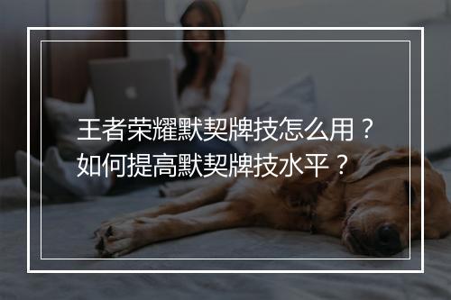 王者荣耀默契牌技怎么用？如何提高默契牌技水平？
