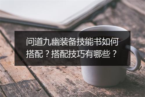问道九幽装备技能书如何搭配？搭配技巧有哪些？