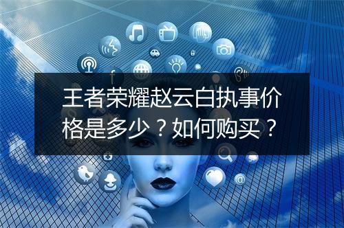 王者荣耀赵云白执事价格是多少？如何购买？