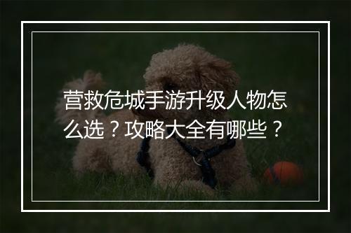 营救危城手游升级人物怎么选？攻略大全有哪些？