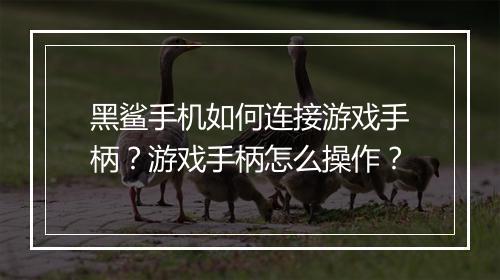 黑鲨手机如何连接游戏手柄？游戏手柄怎么操作？