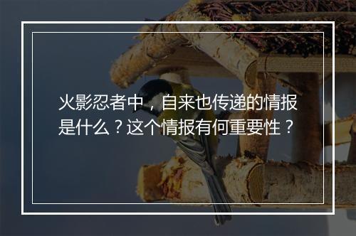 火影忍者中，自来也传递的情报是什么？这个情报有何重要性？