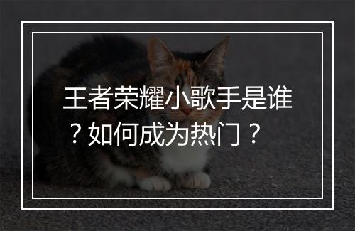 王者荣耀小歌手是谁？如何成为热门？