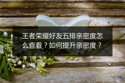 王者荣耀好友五排亲密度怎么查看？如何提升亲密度？