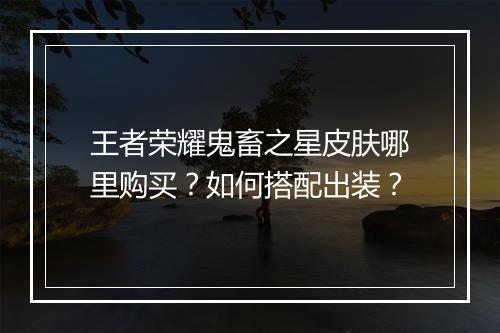 王者荣耀鬼畜之星皮肤哪里购买？如何搭配出装？