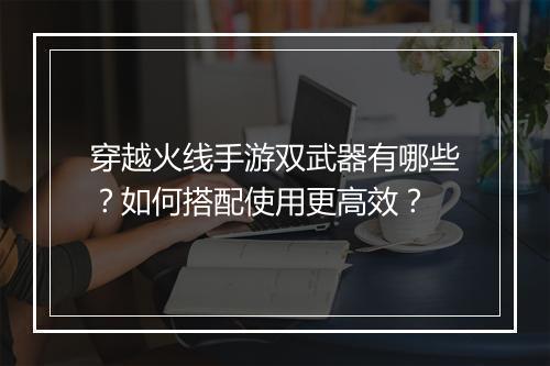 穿越火线手游双武器有哪些？如何搭配使用更高效？
