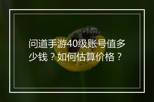 问道手游40级账号值多少钱？如何估算价格？