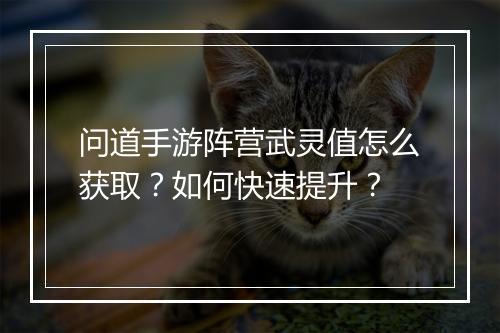 问道手游阵营武灵值怎么获取？如何快速提升？