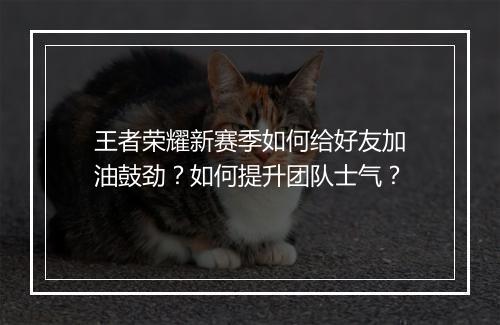王者荣耀新赛季如何给好友加油鼓劲？如何提升团队士气？