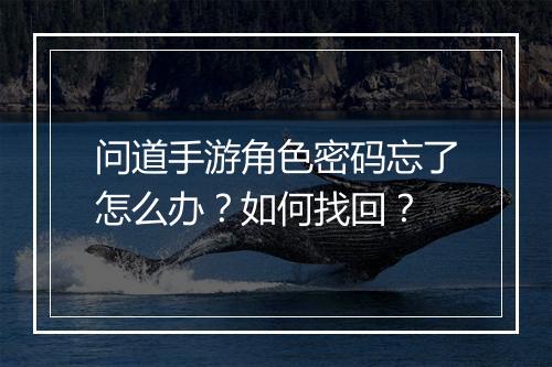问道手游角色密码忘了怎么办？如何找回？
