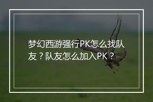 梦幻西游强行PK怎么找队友？队友怎么加入PK？