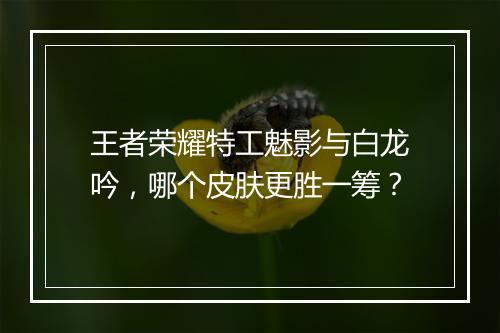 王者荣耀特工魅影与白龙吟，哪个皮肤更胜一筹？