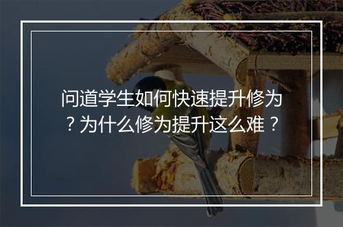 问道学生如何快速提升修为？为什么修为提升这么难？