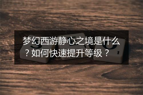 梦幻西游静心之境是什么？如何快速提升等级？