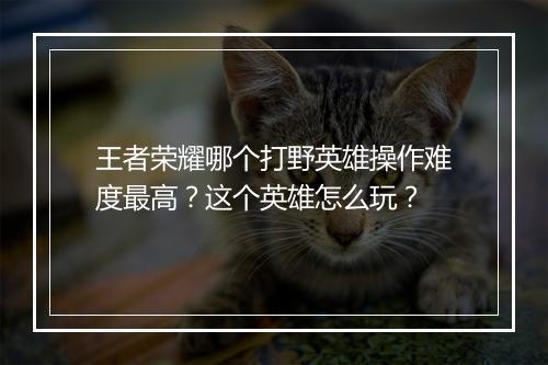 王者荣耀哪个打野英雄操作难度最高？这个英雄怎么玩？