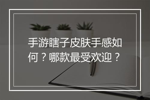 手游瞎子皮肤手感如何？哪款最受欢迎？