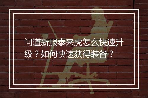 问道新服泰来虎怎么快速升级？如何快速获得装备？