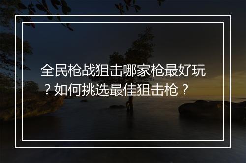 全民枪战狙击哪家枪最好玩？如何挑选最佳狙击枪？