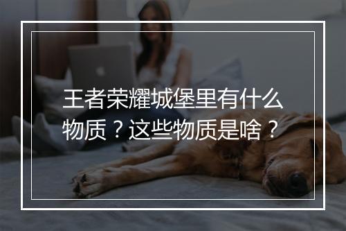 王者荣耀城堡里有什么物质？这些物质是啥？