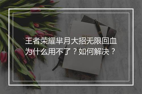 王者荣耀芈月大招无限回血为什么用不了？如何解决？