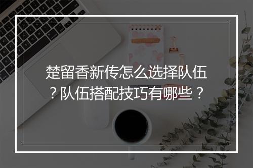 楚留香新传怎么选择队伍？队伍搭配技巧有哪些？