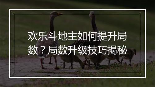欢乐斗地主如何提升局数？局数升级技巧揭秘