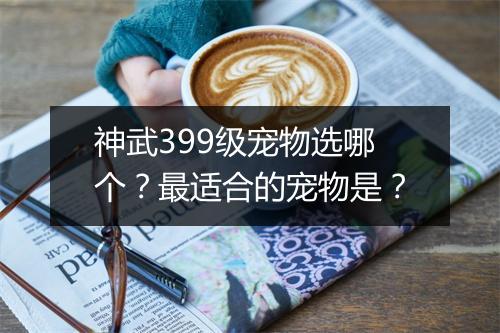 神武399级宠物选哪个？最适合的宠物是？