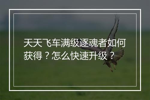 天天飞车满级逐魂者如何获得？怎么快速升级？