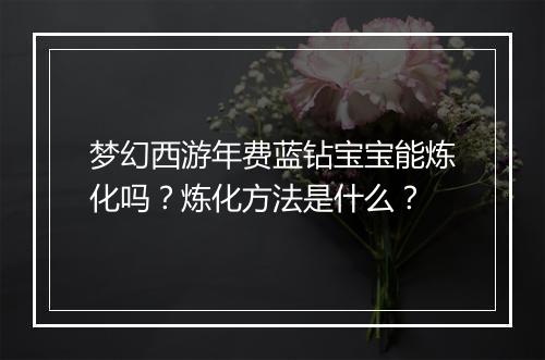 梦幻西游年费蓝钻宝宝能炼化吗？炼化方法是什么？