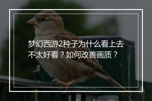 梦幻西游2种子为什么看上去不太好看？如何改善画质？